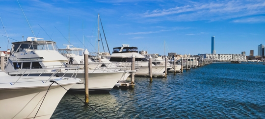 boats in harbor